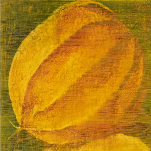 TIM MAGUIRE (born 1958) 97u13 1997 oil on canvas 80 x 80cm