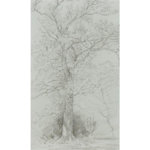 30 · JOHN CONSTABLE (1776-1837) Study of a Mature Tree in a Landscape pencil on paper 23 x 14cm