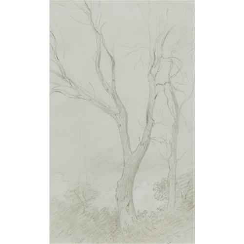 29 · JOHN CONSTABLE (1776-1837) Study of Two Trees in a Landscape pencil on paper 23 x 14cm