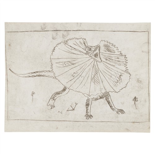 18 · SIDNEY NOLAN (1917-1992) (Frilled Neck Lizard, Northern Australia) c.1949 transfer drawing on paper 20.5 x 27cm
