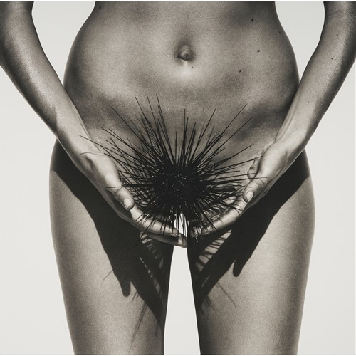 GREG NAGEL Love Hurts 2011 black and white photograph, ed. 4/15 100 x 100cm (125.5 x 125.5cm framed)