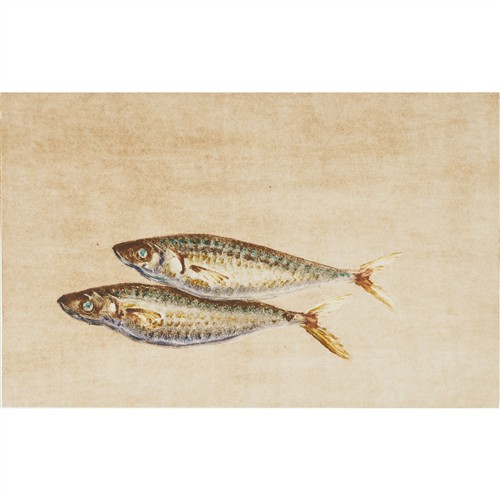 ANGUS MCDONALD (born 1961) Pesci II 1999 monotype 37 x 54cm (61.5 x 77cm framed)