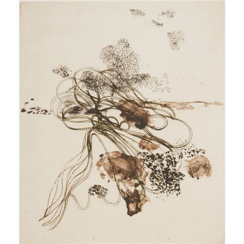 PHILIP HUNTER (1958-2017) Large Plain 7 2003 etching, ed. 1/30 38 x 31.5cm (62 x 52cm framed)