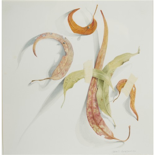 JAMES GORDON Eucalyptus Leaves 2001 watercolour on paper 25 x 24cm (41 x 41cm framed)