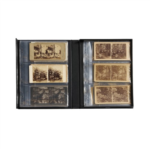 83 · STEREOVIEWS: A COLLECTION ON FERNS Variously second half 19th century