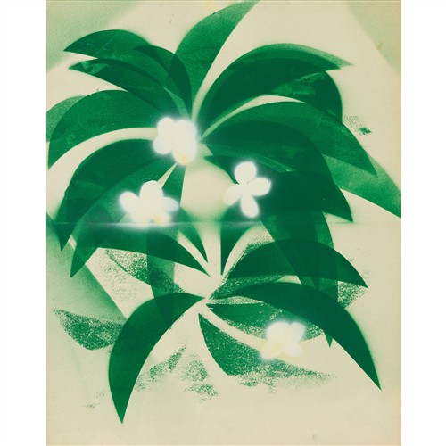 62 · CHARLES BLACKMAN (1928-2018) (Frangipanis and Leaves) c.1966 spray paint on paper 64 x 51cm