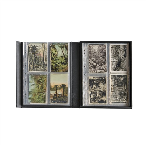 85 · POSTCARDS: A COLLECTION ON FERNS IN VICTORIA Variously second half 19th–mid-20th century
