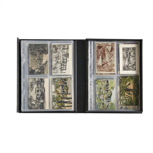 86 · POSTCARDS: A COLLECTION ON FERNS IN AUSTRALIA, etc. Variously second half 19th–mid-20th century