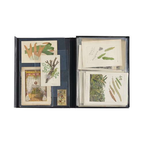 2 · PRINTS AND EPHEMERA: A COLLECTION RELATING TO FERNS Mostly second half 19th century
