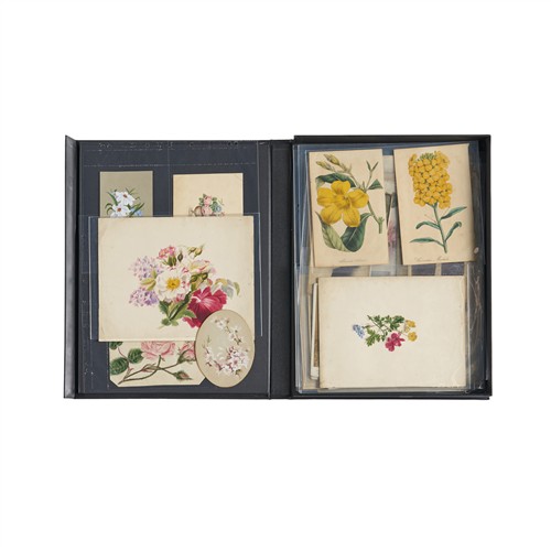 3 · PRINTS AND WATERCOLOURS: A FLORAL COLLECTION 19th century and earlier