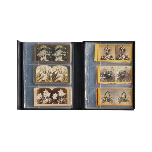 87 · STEREOVIEWS: A FLORAL COLLECTION Variously second half 19th–early 20th century
