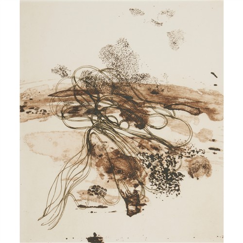 PHILIP HUNTER (born 1958) Large Plain 1 2003 etching, ed. 1/30 47.5 x 32cm (62 x 52cm framed)