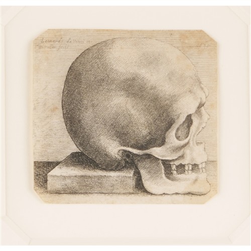 58 · WENCESLAUS HOLLAR (Czech, 1607-1677) After LEONARDO DA VINCI (Italian, Vinci 1452–1519 Amboise) Skull in Profile to Right etching 7....