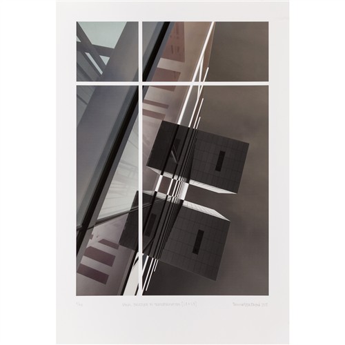 55 · EMMA STONEMAN (born 1974) Spinal Structure in Transformation [L2 + L3] 2015 archival inkjet print on cotton rag, ed. 2/40 38.5 x 27c...