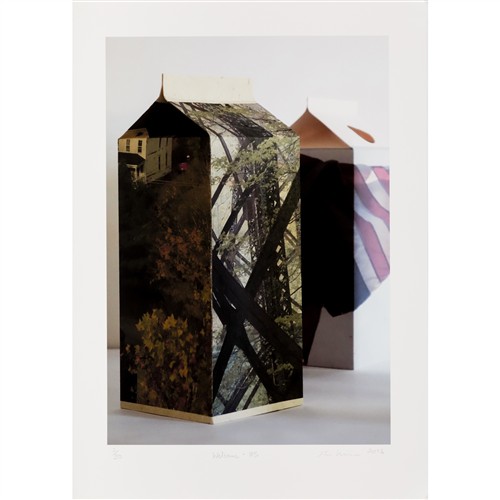 54 · PIA LARSEN (born 1967) Welcome - US 2016 archival pigment print on cotton rag, ed. 2/30 43.5 x 30cm (image); 53 x 38cm (sheet)