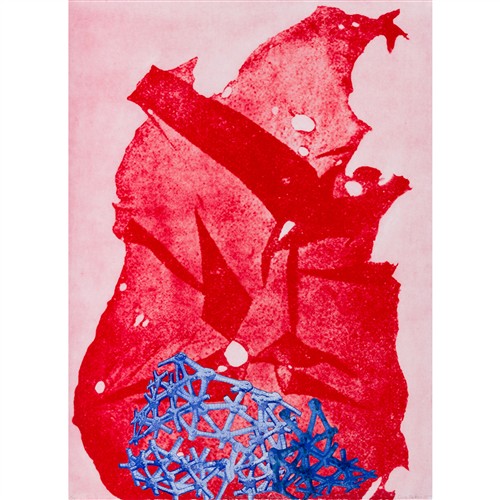46 · CHRIS DE ROSA (born 1959) Gigartina Tetra Spongia 2019 intaglio and papercut collage, ed. 1/30 76 x 56cm (sheet)
