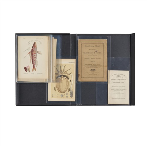 76 · PRINTS AND BOOKS: WORKS ON NATURAL HISTORY BY PROFESSOR FREDERICK McCOY Variously second half 19th century