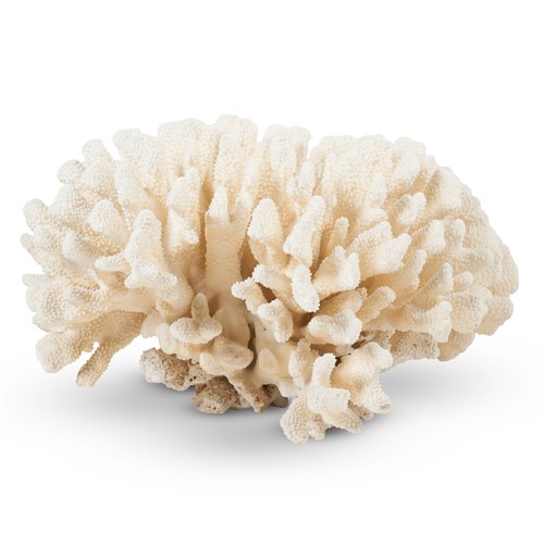 17 · A LARGE WHITE FINGER CORAL SPECIMEN Please see important information below regarding collection of lots in this auction.