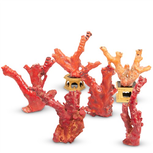 34 · A GROUP OF SIX CORAL SPECIMENS Please see important information below regarding collection of lots in this auction.